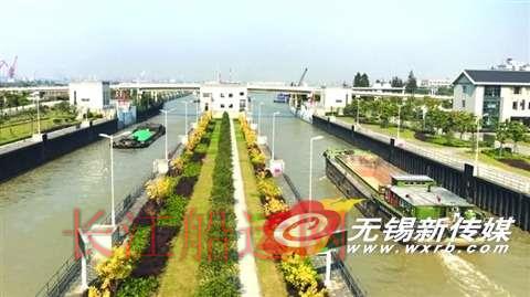 昨日中午，受潮汐影响长江水位与内河水位持平，大量货船开始密集通过船闸。（吴虹/摄）