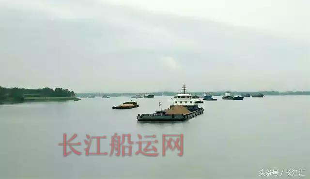跑船N年，利润都去哪了？