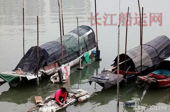 停航就是停生计，缴纳罚款是家常便饭，内河船民生存困境谁能懂？