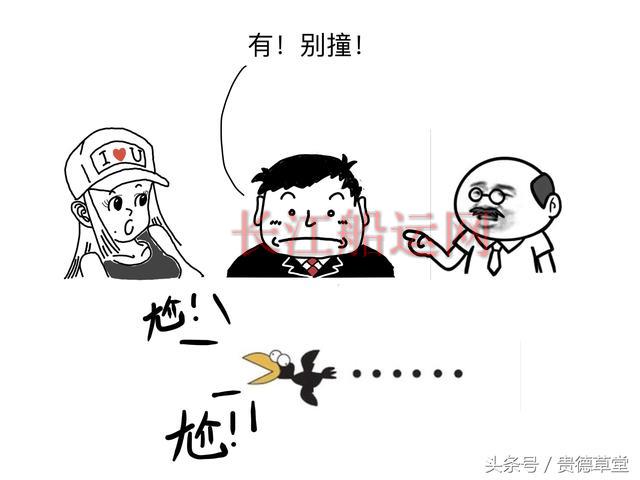 船的故事 之 撞船怎么办