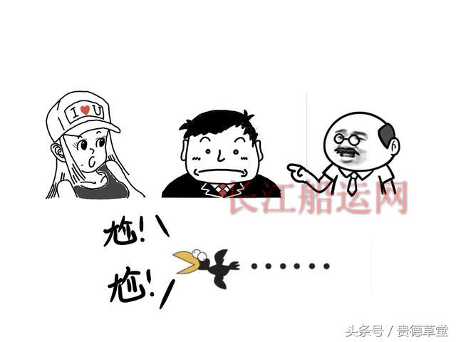 船的故事 之 撞船怎么办