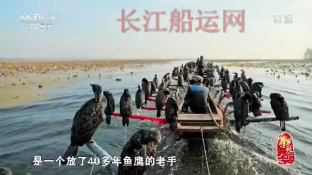山东济宁南阳，登上央视《记住乡愁》了