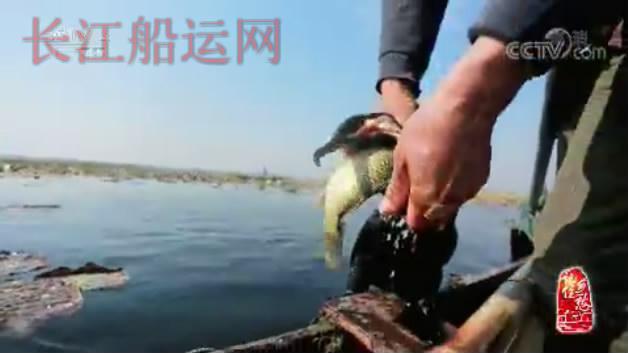 山东济宁南阳，登上央视《记住乡愁》了