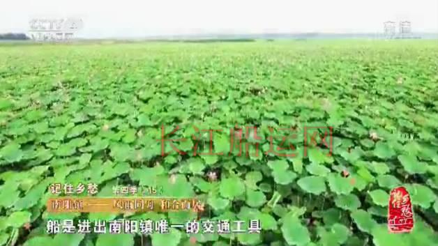山东济宁南阳，登上央视《记住乡愁》了