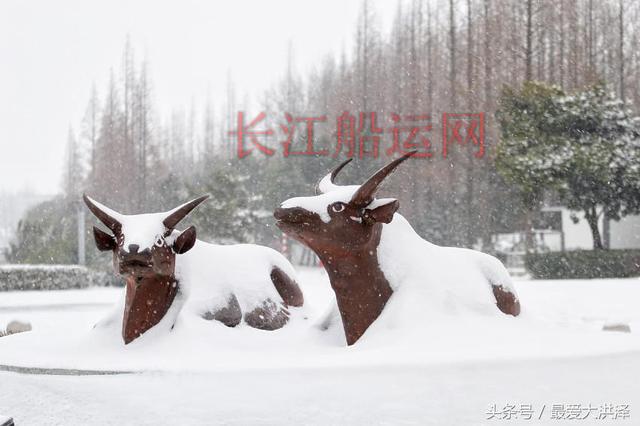 洪泽：千年古堰再飞雪 宛如童话世界