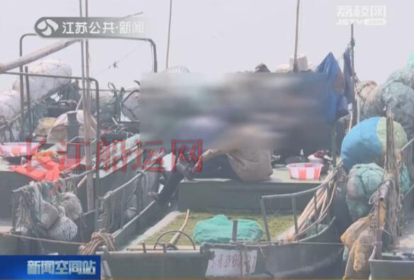 长江非法捕捞案告破 千尾野生鳗鱼苗重回母亲河