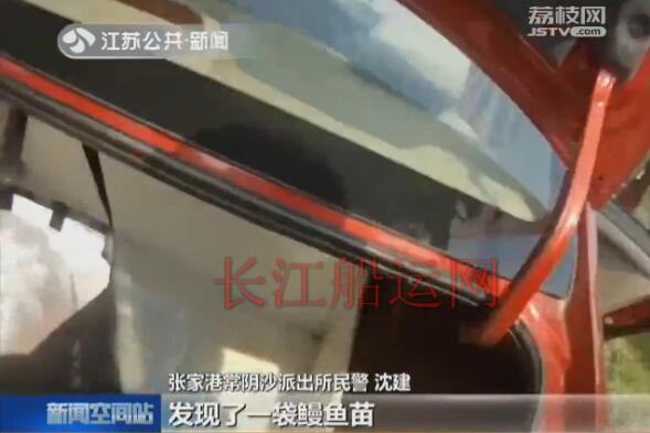 长江非法捕捞案告破 千尾野生鳗鱼苗重回母亲河