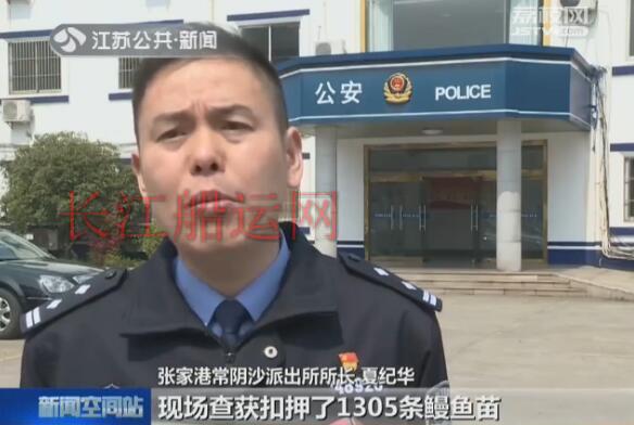 长江非法捕捞案告破 千尾野生鳗鱼苗重回母亲河
