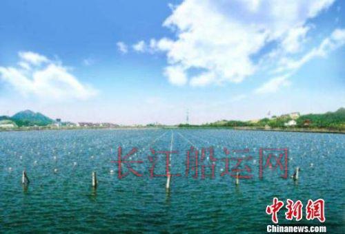 拿下吉尼斯世界纪录！这艘木船镶嵌了200多万颗珍珠