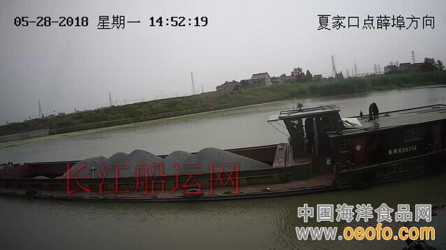 船舶显性违法